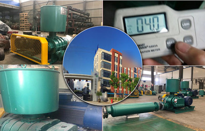 華東地區羅茨風機應用案例——江蘇環保設備的創新實踐